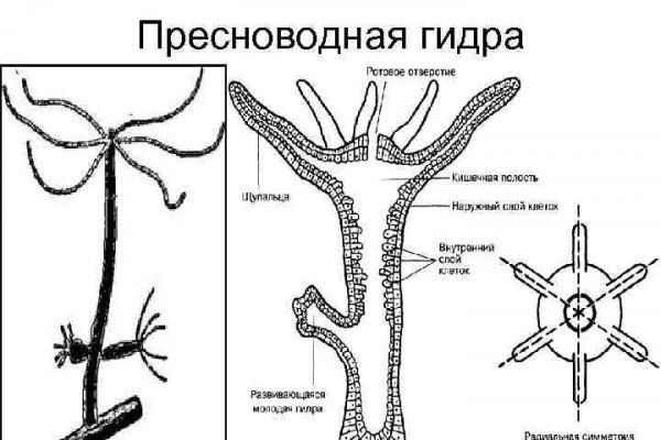 Omg не работает