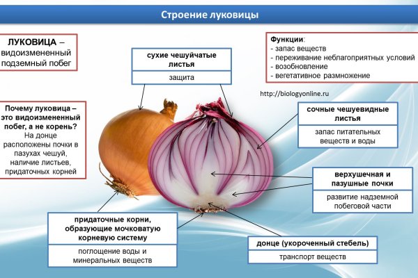 Даркнет официальный сайт на русском